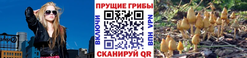 сколько стоит  kraken маркетплейс  Псилоцибиновые грибы MAGIC MUSHROOMS  Уяр 